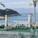 (주)블루망고풀빌라앤리조트 이미지