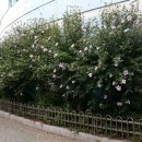 대구동촌초등학교 이미지