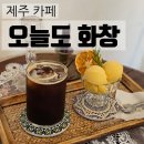 오늘도 화창 | [제주 맛집]월정리 구좌 빈티지카페 / 오늘도 화창