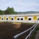 통도승마랜드 이미지