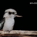 동부노인전문요양센터 이미지