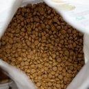 PUPPY HILL'S 이미지