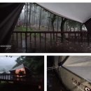 페스트프로