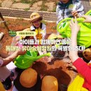 통매산 유아숲체험원 이미지
