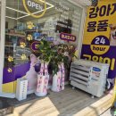 더봄애견 이미지