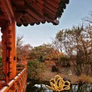 희원(HeeWon) 이미지
