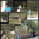 강천산(광주) 이미지