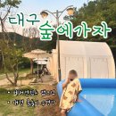 가자# | 아이랑 에어컨 있는 당일 글램핑장 | 대구 숲에가자 캠크닉 물놀이 후기
