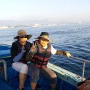 포유콘도 이미지