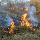 새봄농장(2) 이미지