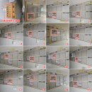 운암애견 이미지