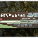 그린레일웨이 이미지