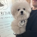 넌나의가족 네이버블로그