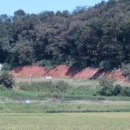 금곡동 9-3 이미지