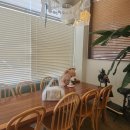 오르브와 이미지