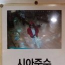 고전집 이미지