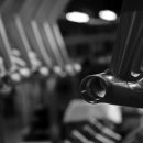 뉴 퍼시픽 이미지