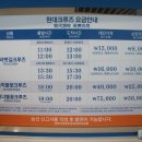 현대크루즈