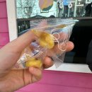 유진정 | 광주 오리탕 현지인맛집 유진정 내돈내산 솔직후기