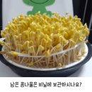 콩나물 이미지