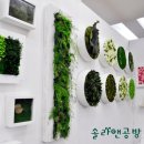 솔라농원