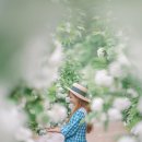 5월 25일. 불두화,작약꽃 곱게 핀 천년고찰 수타사! 공작산(100대 명산) &amp; 산소길 트레킹 이미지