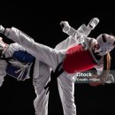 국가대표 국기태권도 이미지