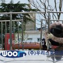 밀양초등학교 티스토리