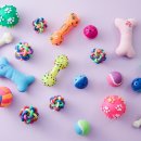 양구동물병원 이미지