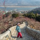 김종연농장 이미지