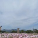 내생애경주 이미지