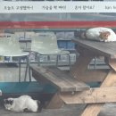 충효로/강남9길(서) | 블챌을 빙자한 오랜만의 일상이쟈냐