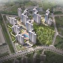 더포레C 이미지