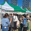 마켓통통 이미지