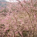 서북동마을 이미지