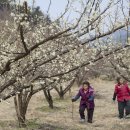 김성광 농장 이미지