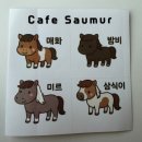 매화목장 | 경남 산청 ㅣ 귀여운 미니 말과 함께 교감 할 수 있는 카페 [소뮈르]