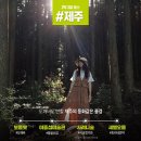 동화숲민박 이미지