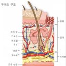 정안테라피 이미지