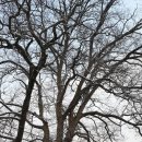 칠연식당 이미지