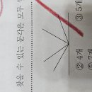 둔각 갯수요 이미지