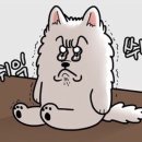시르네