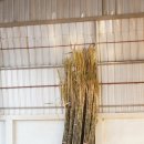 장신주유소 이미지