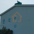 제주반석공인중개사사무소 | (제주빌라) 봉개동 막힘없는 뷰! 1억대 남향 투룸형빌라 내 집 마련