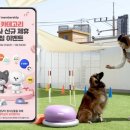 멍냥 펫택시 이미지