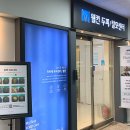 일산 두피관리 웰킨두피탈모센터 두피스케일링 찐만족 후기