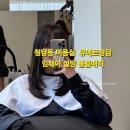 뮤에르 청담 이미지