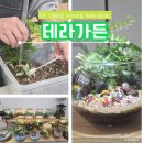 진주 식물공방 테라가든에서 나만의 작은 정원만들기,테라리움 원데이클래스,실내 이색데이트, 아이랑...