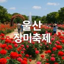 Re: &#34;5월, 꼭 가봐야 할 국내 장미 축제 BEST 4&#34; / 전국 유명 장미축제 다녀오세요 이미지