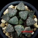 A0409 네이버블로그